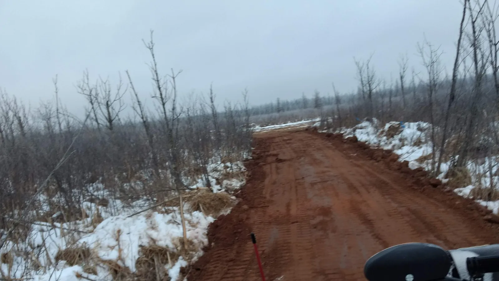 New dirt road built across a snowy wetland